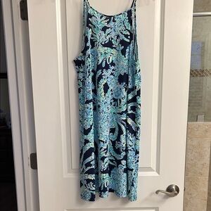 Lilly Pulitzer Swing Dress